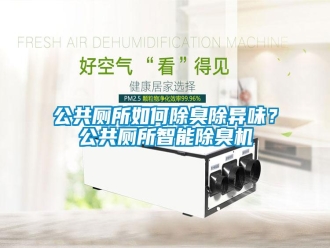 常見問題公共廁所如何除臭除異味？公共廁所智能除臭機(jī)
