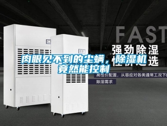 行業(yè)新聞肉眼見不到的塵螨，除濕機竟然能控制