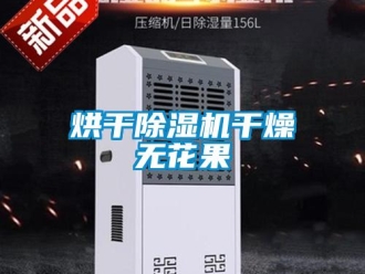 行業(yè)新聞烘干除濕機(jī)干燥無花果