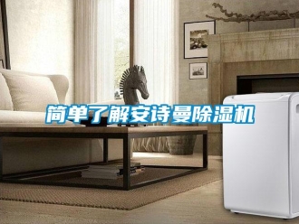 企業(yè)新聞簡單了解安詩曼除濕機(jī)