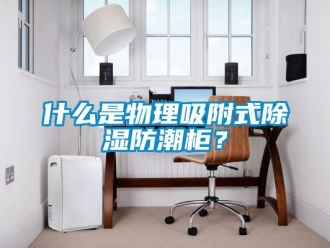 常見問題什么是物理吸附式除濕防潮柜？