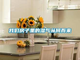 知識(shí)百科我們房子里的濕氣從何而來(lái)
