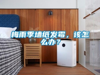 常見問題梅雨季墻紙發(fā)霉，該怎么辦？