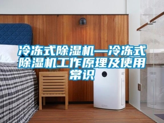 行業(yè)新聞冷凍式除濕機—冷凍式除濕機工作原理及使用常識