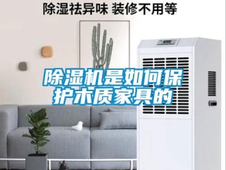 常見(jiàn)問(wèn)題除濕機(jī)是如何保護(hù)木質(zhì)家具的