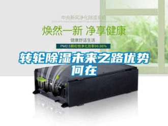 知識百科轉輪除濕未來之路優(yōu)勢何在