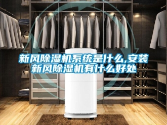 知識(shí)百科新風(fēng)除濕機(jī)系統(tǒng)是什么,安裝新風(fēng)除濕機(jī)有什么好處