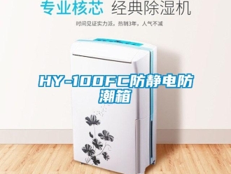 企業(yè)新聞HY-100FC防靜電防潮箱