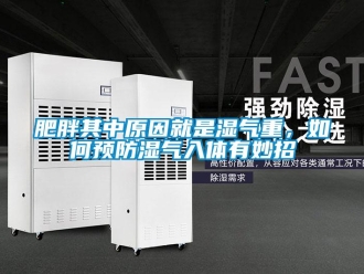 常見問題肥胖其中原因就是濕氣重，如何預(yù)防濕氣入體有妙招