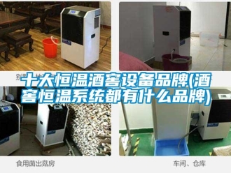 知識(shí)百科十大恒溫酒窖設(shè)備品牌(酒窖恒溫系統(tǒng)都有什么品牌)