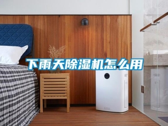 行業(yè)新聞下雨天除濕機(jī)怎么用