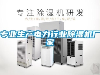 企業(yè)新聞專(zhuān)業(yè)生產(chǎn)電力行業(yè)除濕機(jī)廠(chǎng)家