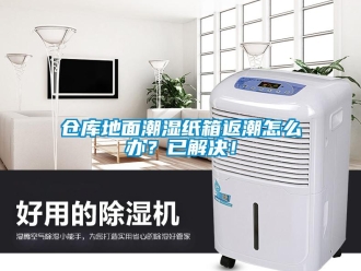 企業(yè)新聞倉庫地面潮濕紙箱返潮怎么辦？已解決！