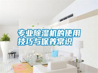 知識百科專業(yè)除濕機(jī)的使用技巧與保養(yǎng)常識