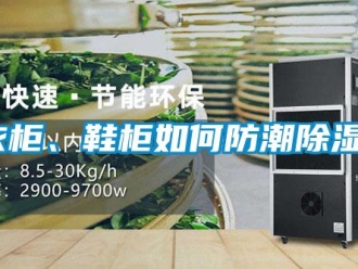 常見問題衣柜、鞋柜如何防潮除濕？
