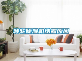 知識百科轉(zhuǎn)輪除濕機(jī)結(jié)霜原因