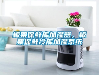 常見問題板栗保鮮庫加濕器，板栗保鮮冷庫加濕系統(tǒng)