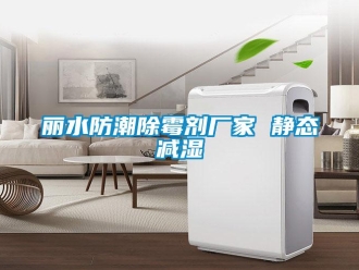 常見問題麗水防潮除霉劑廠家 靜態(tài)減濕