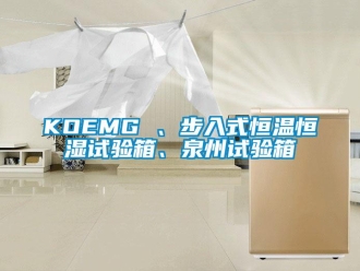 常見問(wèn)題KOEMG 、步入式恒溫恒濕試驗(yàn)箱、泉州試驗(yàn)箱