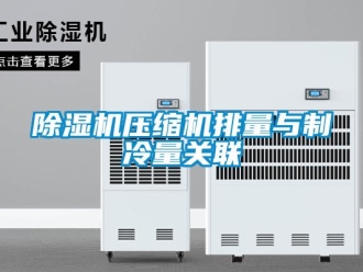 企業(yè)新聞除濕機(jī)壓縮機(jī)排量與制冷量關(guān)聯(lián)
