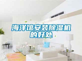 行業(yè)新聞海洋館安裝除濕機的好處