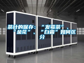 常見問題茶葉的保存：“發(fā)霉茶”、“金花”、“白霜”如何區(qū)分