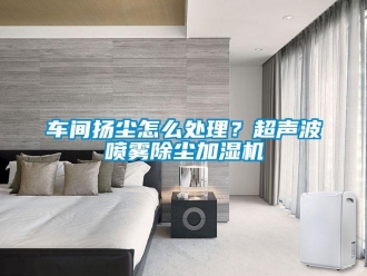 常見問題車間揚(yáng)塵怎么處理？超聲波噴霧除塵加濕機(jī)