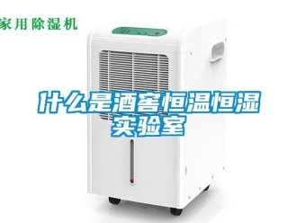 知識(shí)百科什么是酒窖恒溫恒濕實(shí)驗(yàn)室