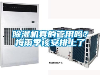 常見問題除濕機真的管用嗎？梅雨季該安排上了
