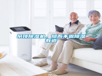 企業(yè)新聞吊頂除濕機(jī)，隱而不露除濕有道