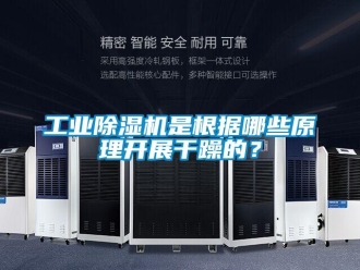 企業(yè)新聞工業(yè)除濕機(jī)是根據(jù)哪些原理開展干躁的？