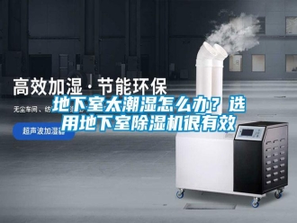 常見問題地下室太潮濕怎么辦？選用地下室除濕機很有效