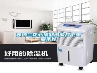 知識百科養(yǎng)護(hù)蘭花必須知道的幾個(gè)重要條件