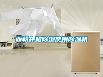行業(yè)新聞面粉存儲(chǔ)除濕使用除濕機(jī)