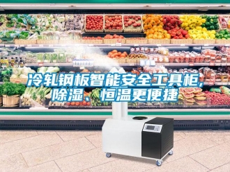 知識(shí)百科冷軋鋼板智能安全工具柜,除濕、恒溫更便捷