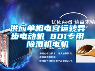 行業(yè)新聞供應單相電容運轉異步電動機 801專用除濕機電機