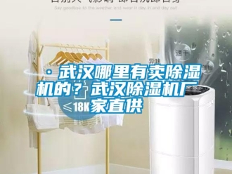 企業(yè)新聞·武漢哪里有賣除濕機(jī)的？武漢除濕機(jī)廠家直供