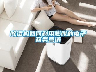 常見(jiàn)問(wèn)題除濕機(jī)如何利用膨脹的電子商務(wù)營(yíng)銷(xiāo)