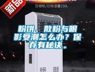 常見問題粉餅、散粉與眼影受潮怎么辦？保存有秘訣。