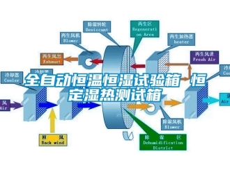 知識(shí)百科全自動(dòng)恒溫恒濕試驗(yàn)箱 恒定濕熱測(cè)試箱