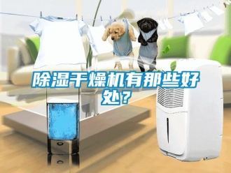 常見問題除濕干燥機有那些好處？