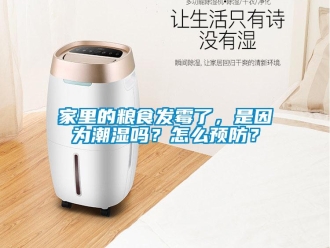 常見問題家里的糧食發(fā)霉了，是因為潮濕嗎？怎么預防？