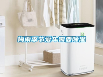 行業(yè)新聞梅雨季節(jié)愛(ài)車需要除濕