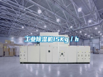 企業(yè)新聞工業(yè)除濕機(jī)15Kg／h