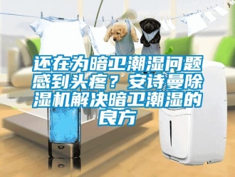 企業(yè)新聞還在為暗衛(wèi)潮濕問題感到頭疼？安詩曼除濕機(jī)解決暗衛(wèi)潮濕的良方
