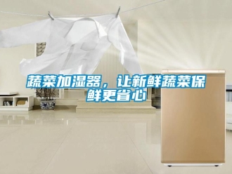 知識百科蔬菜加濕器，讓新鮮蔬菜保鮮更省心
