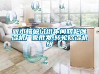 企業(yè)新聞麗水核酸試紙車間轉(zhuǎn)輪除濕機廠家批發(fā),轉(zhuǎn)輪除濕機組