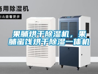 行業(yè)新聞果脯烘干除濕機(jī)，果脯蜜餞烘干除濕一體機(jī)