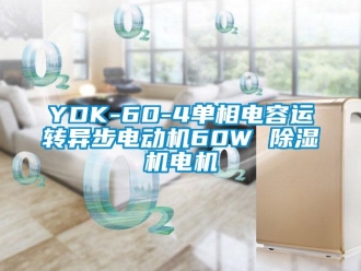 企業(yè)新聞YDK-60-4單相電容運(yùn)轉(zhuǎn)異步電動(dòng)機(jī)60W 除濕機(jī)電機(jī)