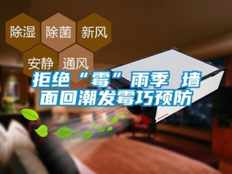 行業(yè)新聞拒絕“霉”雨季 墻面回潮發(fā)霉巧預防